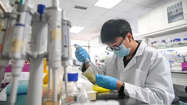Brain drain hits US as scientists, others relocate to China
