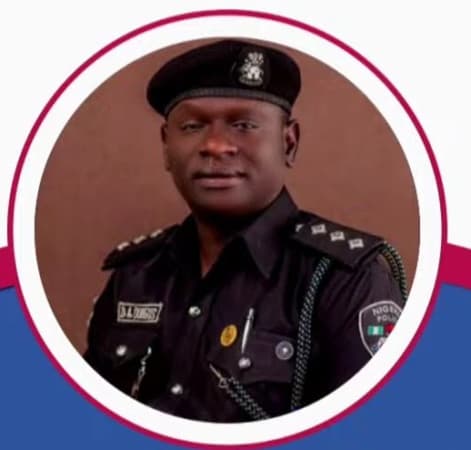 Man who specialises in sexually assaulting minors in Yobe falls into police net