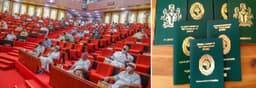 Senate approves 10-year passport ban for Nigerians convicted abroad