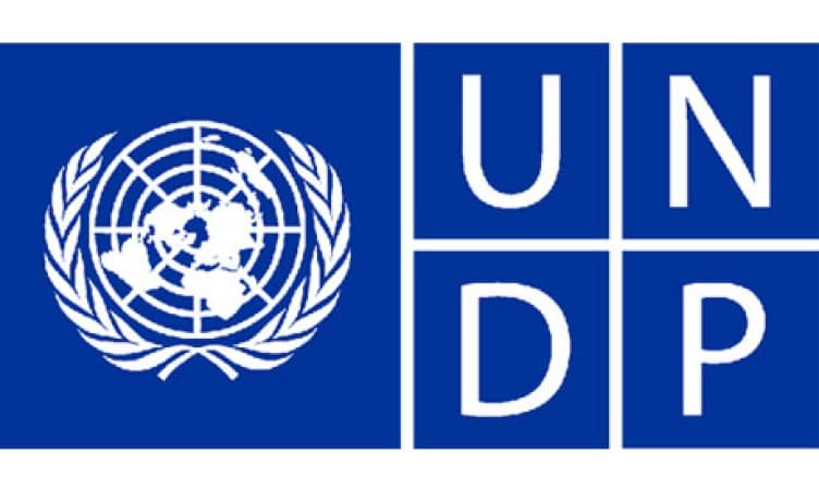 UNDP: Why African countries fail credit ratings
