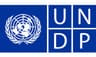 UNDP: Why African countries fail credit ratings