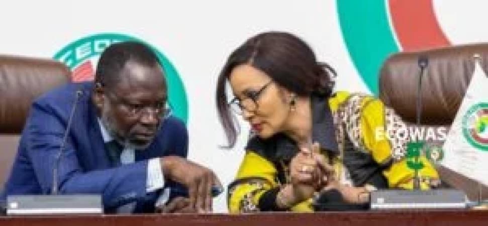 Nigeria seeks equitable distribution of ECOWAS statutory positions