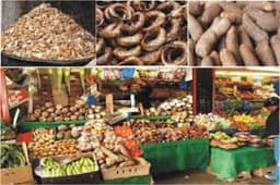 Report: World Bank urges Nigeria to address food inflation