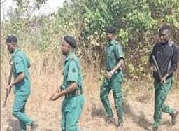FG unleashes forest guards to flush out bandits, kidnappers