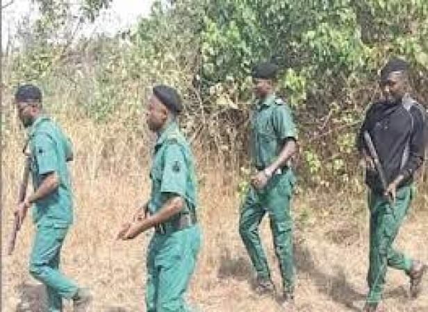 FG unleashes forest guards to flush out bandits, kidnappers