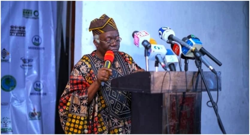 Falana To Lead Legal Team Against Oil Companies Over Niger Delta Pollution