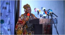 Falana To Lead Legal Team Against Oil Companies Over Niger Delta Pollution