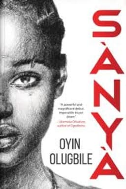 Sanya by Oyin Olugbile wins The Nigeria Prize for Literature, 2025