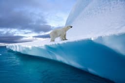 Top 5 coldest countries in the world