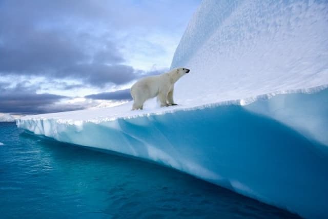 Top 5 coldest countries in the world