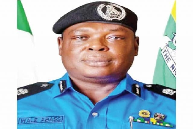 Retired AIG leads probe into killings by Osun Amotekun