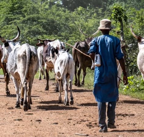 Herder kills colleague over N4,000