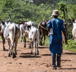 Herder kills colleague over N4,000