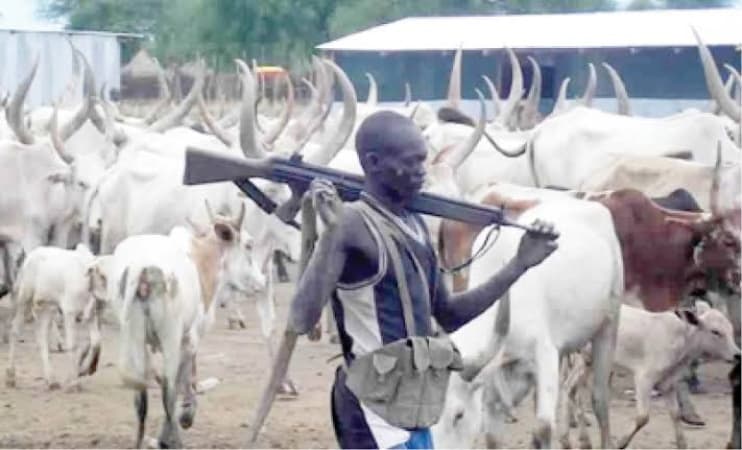 Plateau: 13 killed in renewed attacks on Barkin Ladi communities