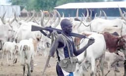 Plateau: 13 killed in renewed attacks on Barkin Ladi communities
