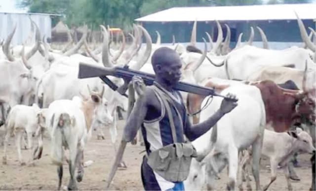 Plateau: 13 killed in renewed attacks on Barkin Ladi communities
