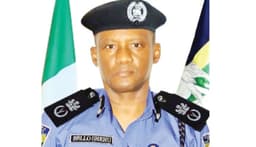Police bust suspected armed robbery syndicate operating on Katsina-Kano highway