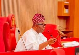 Senate steps down electoral bill for more consultations