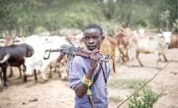 Security forces quell clash between vigilantes, cattle herders in Gubio, Borno