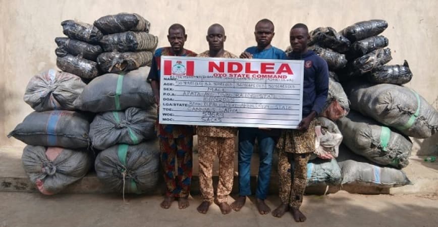 US, UK, DRC-bound illicit drug consignments intercepted in frozen snails, electrical bulbs