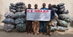 US, UK, DRC-bound illicit drug consignments intercepted in frozen snails, electrical bulbs