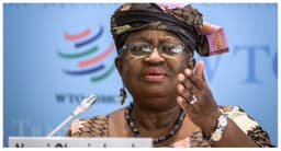 WTO Worried About Possible Escalation Of US-China Tensions — Okonjo-Iweala