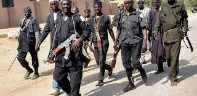 Ogun vigilante arrests over 180 suspected thieves, ritualists, others