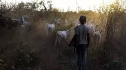 Two arrested over killing of herder in Kogi community