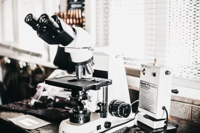PE-22-28 Peptide: A Compact Molecule with Expansive Potential in Research