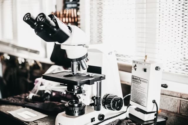 PE-22-28 Peptide: A Compact Molecule with Expansive Potential in Research