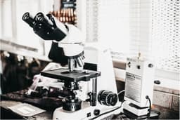 PE?22?28 Peptide: A Compact Molecule with Expansive Potential in Research