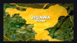 Three Jigawa drug lords arrested, 23,000 illicit drugs seized