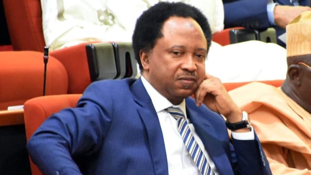 Shehu Sani: If Tinubu fails, it'll be difficult for any other president to succeed