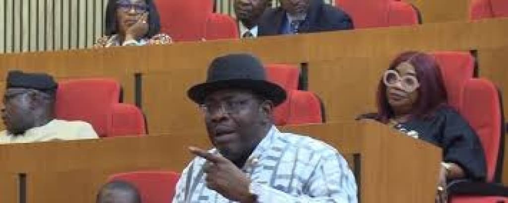 Election petitions: Senate moves to shift burden of proof on INEC