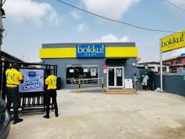 Bokku Mart’s anti-Igbo advert unapproved, unlawful divisive — Industry regulator