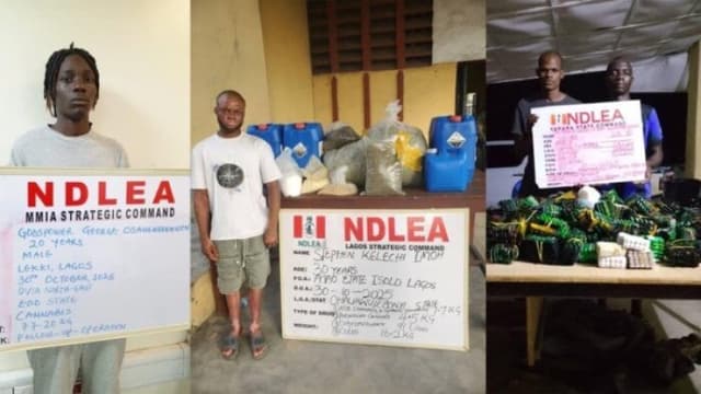 NDLEA uncovers secret Colorado factory in Lagos, arrests 30-year-old owner