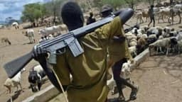 Residents flee as herdsmen killed Benue community leader in ambush