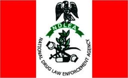 NDLEA warns Nigerians against fake ‘medicinal cannabis’, arrests suspect