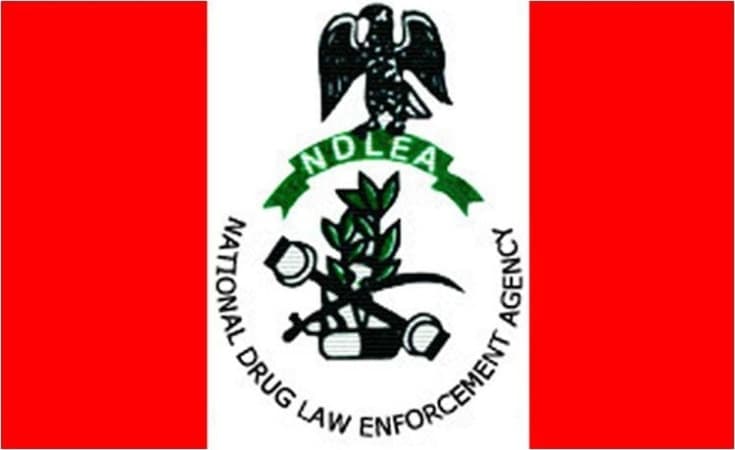 NDLEA warns Nigerians against fake ?medicinal cannabis?, arrests suspect