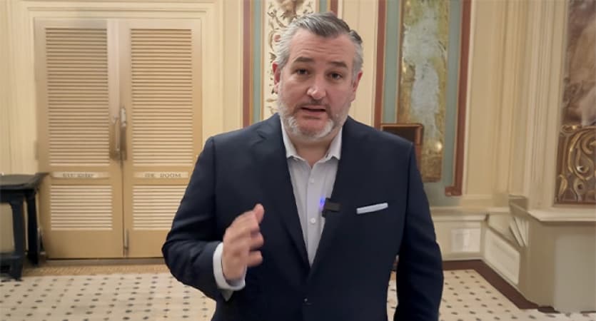 CPC Designation: US senator Ted Cruz vows to hold Nigerian officials accountable