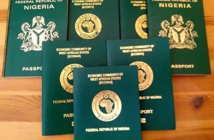  FG to introduce emergency passport for Nigerians abroad