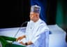 COP 30; Shettima to unveil Nigeria?s green transition roadmap to world leaders