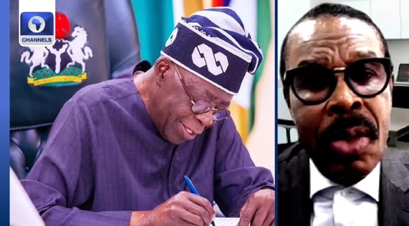 No cause for concern over Tinubu?s new N1.15trn loan request ? Rewane