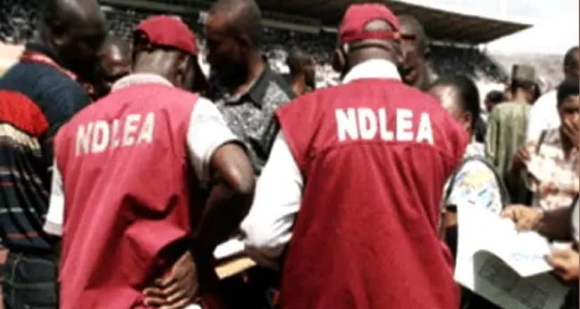 NDLEA arrests woman with ammunition for bandits