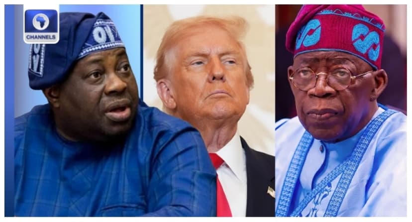 Trump convinced Nigerian Govt not serious, ready to tackle insecurity ? Momodu