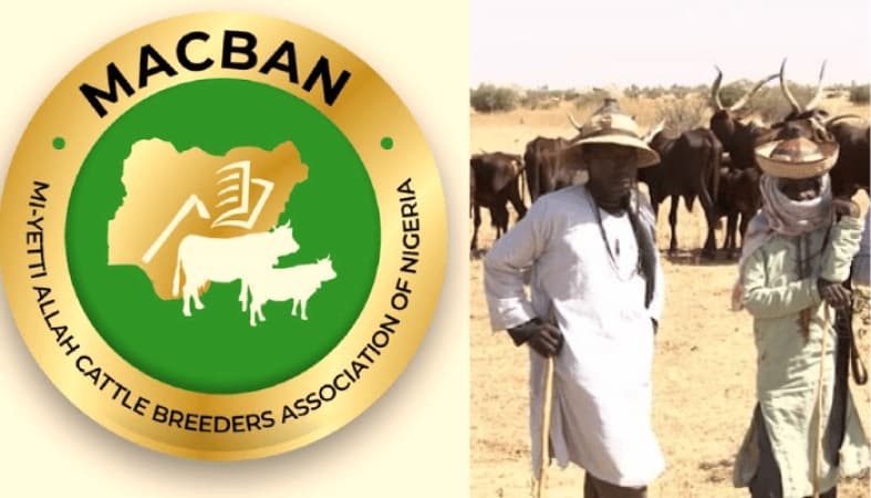 Miyetti Allah: Inside Nigeria?s most controversial cattle breeders group
