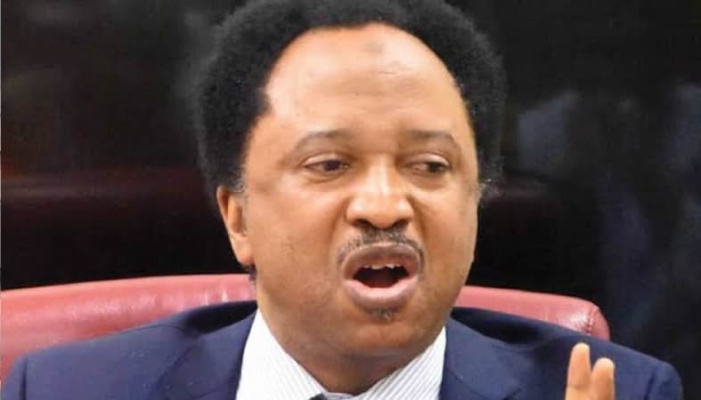 Return home, Shehu? Sani urges Nigerians with revoked US visas