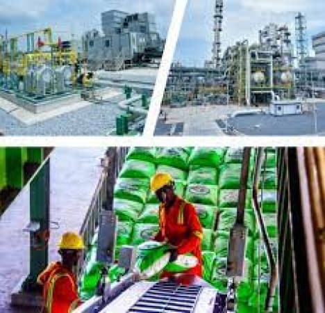 Dangote Fertiliser Limited partners with German firm to license four urea granulation units in Nigeria