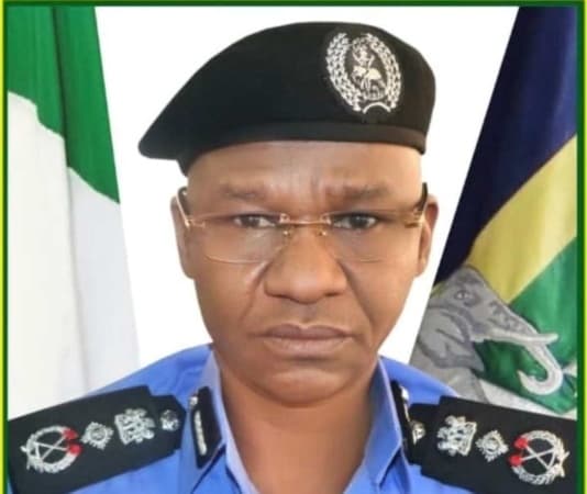 IGP posts Dankwara to head police finance