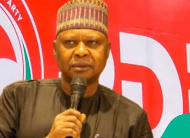 Coalition: We?ll consider all options for 2027 ? PDP chairman